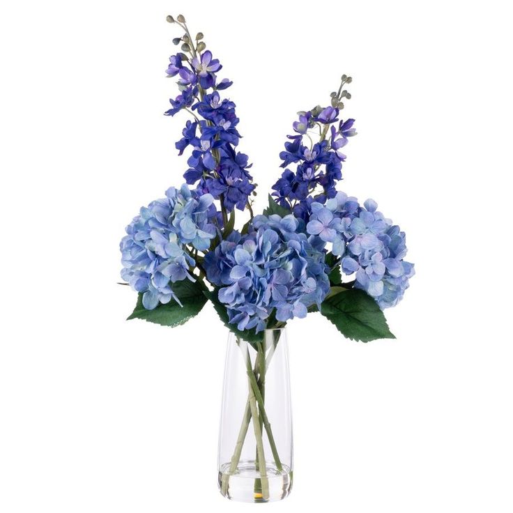 Delphinium & Hydrangea